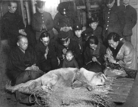 hachi funeral