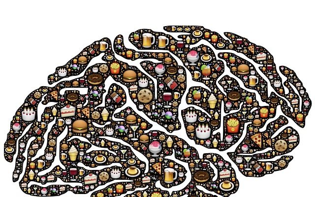 Foods for Brain Power