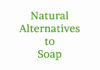 Natural Alternatives to Soap