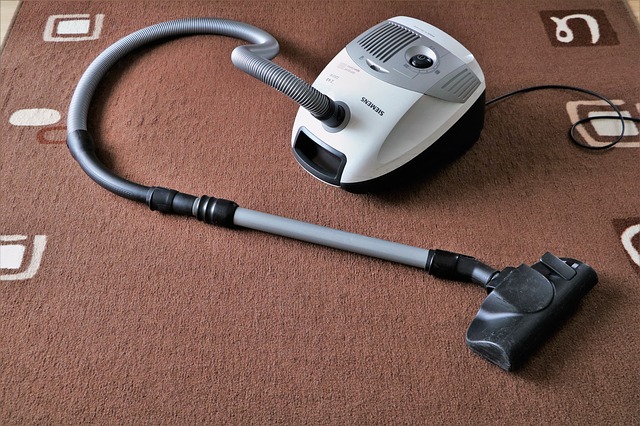 Vacuum Cleaner For Carpets