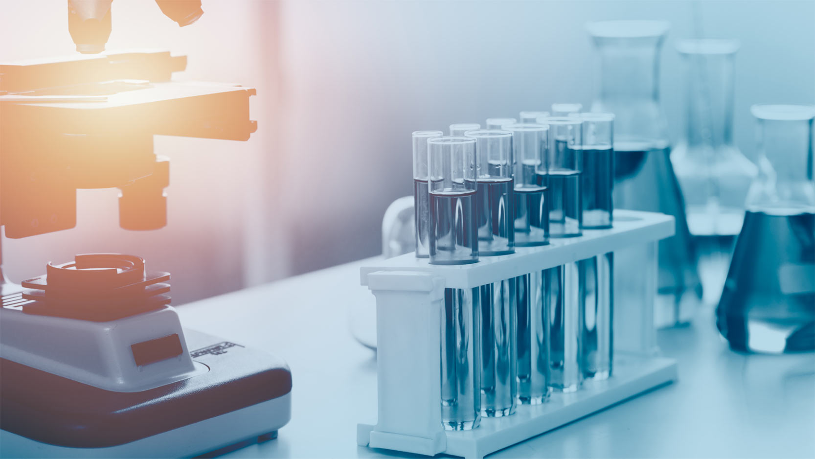 Breakthrough Junior Challenge Has Transformed Science Education